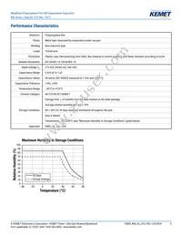 R46KI23300001M Datasheet Page 5