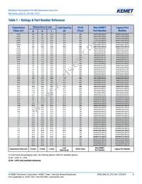 R46KI23300001M Datasheet Page 8