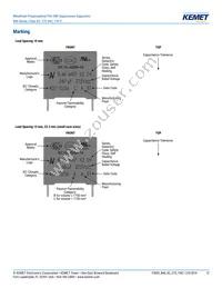 R46KI23300001M Datasheet Page 12