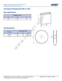 R46KI333040P1K Datasheet Page 15