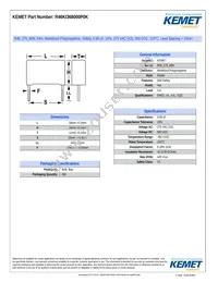 R46KI368000P0K Datasheet Cover