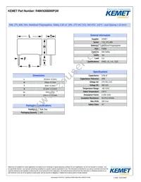 R46KN356000P1M Datasheet Cover