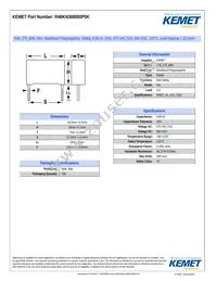 R46KN368000P0K Datasheet Cover