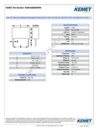 R46KN368000P0M Datasheet Cover