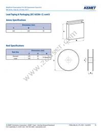 R46KN368040H1M Datasheet Page 15