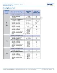 R49AI310040M1M Datasheet Page 2