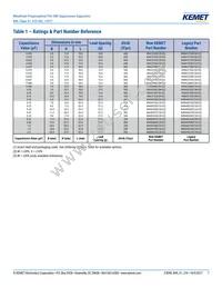 R49AI310040M1M Datasheet Page 7