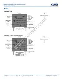 R49AI310040M1M Datasheet Page 11