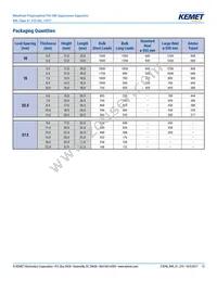 R49AI310040M1M Datasheet Page 13