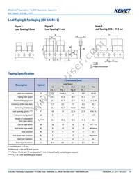 R49AI310040M1M Datasheet Page 14