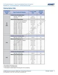 R60PR4100AA50K Datasheet Page 2