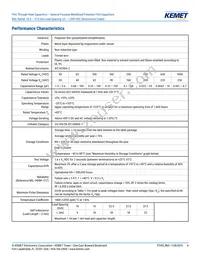 R60PR4100AA50K Datasheet Page 4