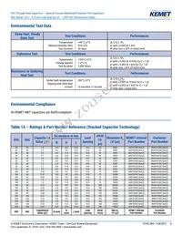 R60PR4100AA50K Datasheet Page 8