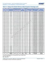 R60PR4100AA50K Datasheet Page 13