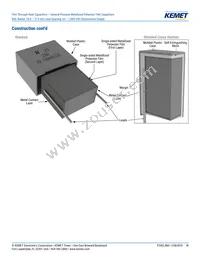 R60PR4100AA50K Datasheet Page 18