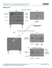 R60PR4100AA50K Datasheet Page 20