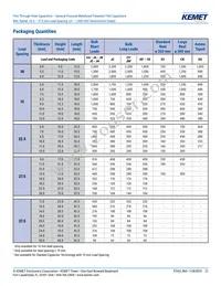 R60PR4100AA50K Datasheet Page 21