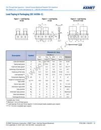 R60PR4100AA50K Datasheet Page 22