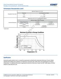 R66ED3100AA7AK Datasheet Page 4