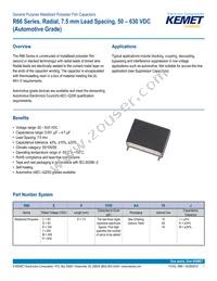 R66PD1100AA10K Cover