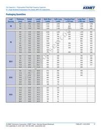 R71VI33304030K Datasheet Page 17