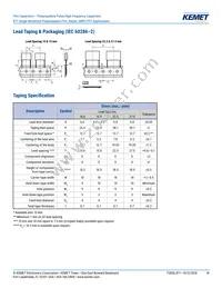 R71VI33304030K Datasheet Page 18