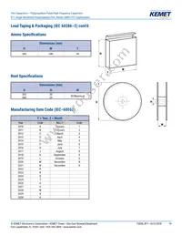 R71VI33304030K Datasheet Page 19