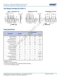 R73UI11004000J Datasheet Page 17