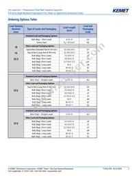 R745F1220AA00J Datasheet Page 2