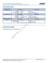 R745F1220AA00J Datasheet Page 8