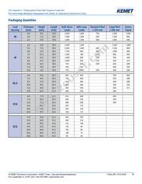 R745F1220AA00J Datasheet Page 18