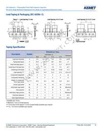 R745F1220AA00J Datasheet Page 19