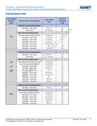 R75IN41804040J Datasheet Page 2
