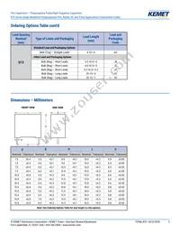 R75IN41804040J Datasheet Page 3