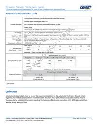 R75IN41804040J Datasheet Page 6