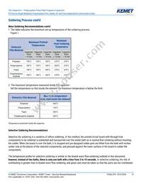 R75IN41804040J Datasheet Page 21