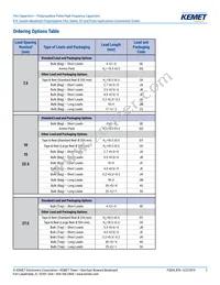 R76PN33304030J Datasheet Page 2