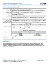 R76PN33304030J Datasheet Page 6