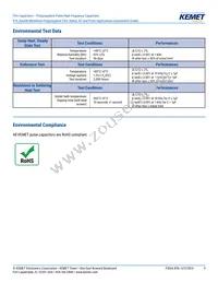 R76PN33304030J Datasheet Page 9