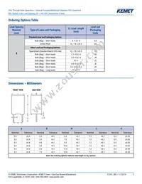 R82EC3220CK70K Datasheet Page 2