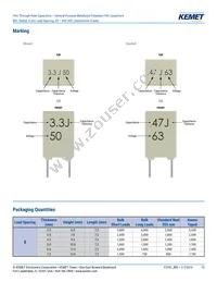 R82EC3220CK70K Datasheet Page 13