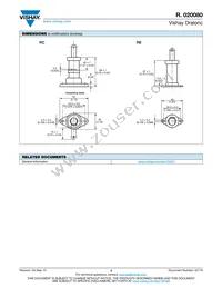 RA020080BD20238BJ1 Datasheet Page 3