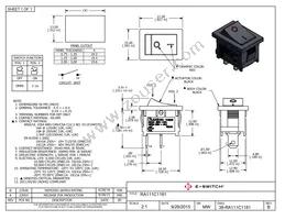 RA111C1181 Datasheet Cover