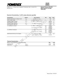 RA201248XX Datasheet Page 3