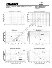 RA201248XX Datasheet Page 4