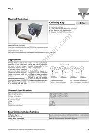 RA2A23D40C Datasheet Page 5