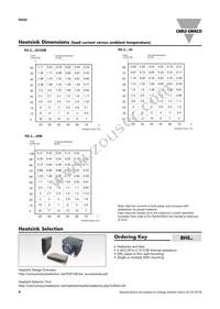 RA2A48D40 Datasheet Page 4