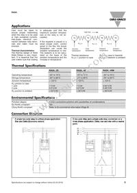 RA2A48D40 Datasheet Page 5