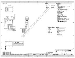 RA811C1100 Datasheet Cover