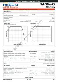 RAC04-09SC Datasheet Page 3